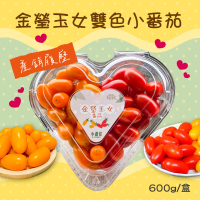 【初品果】金瑩玉女雙色小番茄x12盒(產銷履歷_600g/盒)