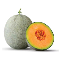 benih repack MELON ORANGE UNGGUL isi 4 biji