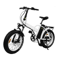Fat Tire Foldable Electric Bike/20" Mountain Folding E Bike/500w Big Power Fatbike Electric RSEB507