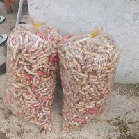 kerupuk gurilem khas cihampelas cililin - perball