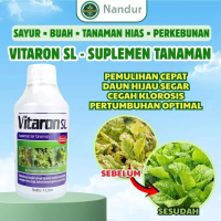 Vitaron SL 1 Liter Pupuk Mikro Chelate EDTA | Obat Daun Kuning & Penyubur Tanaman Cair