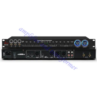 Professional vocal beautification ex-3000 exciter, DSP3000 pre-effector, audio stage microphone gain processor
