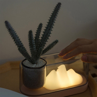熱賣預購－山色USB充電小夜燈 桌面植栽檯燈 Plant Lamp 氛圍燈 可調光 (不含植物)