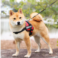 狗狗胸背帶大型中型小型犬牽引繩背心式寵物用品狗帶狗鏈子遛狗繩