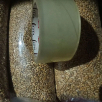 Gandum utuh Original 1 Kg