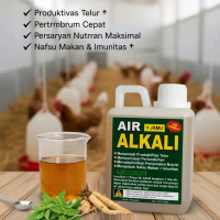 PAKET 8 PCS AIR ALKALI JAMU KESEHATAN TERNAK manambah nafsu makan dan mempercepat pertumbuhan 500ml
