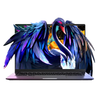 Mechrevo 無界 Forza 14 14" FHD i5-13420H 16GB+1TB Windows 11 Pro 手提電腦(NB-M14S5B+LB-PCNB)