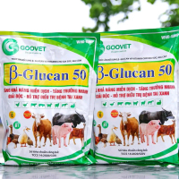 b Glucan 50 dạng bột trộn thức ăn hoặc pha nước uống tăng sức, giải độc Gan thận loại 1kg