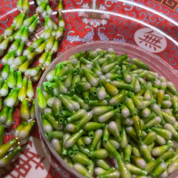 Melati Imitasi Belum Dironce 100pcs - Bunga Imitasi Hijau Segar