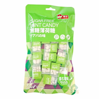 福伯無糖薄荷糖 番石榴味 48g 【瑞昌藥局】020269