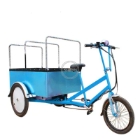 Pedal Cargo Bike 3 Wheel Electric Bicycle Three Wheels Adults Cargo Bike for Carry Goods