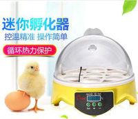 孵化機小型迷你孵化器箱智慧全自動鳥蛋孵蛋器鴿子雞1枚小雞兒童家用型