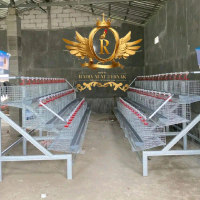 Kandang Ayam Petelur Kapasitas 100 - Alat Peternakan untuk Ayam Petelur - Farming