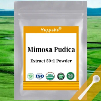 50-1000g High Quality Mimosa Pudica 50:1 Free Shipping