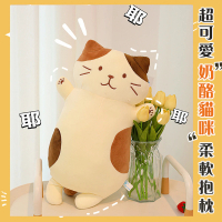 【Mega】超可愛奶酪貓咪柔軟抱枕 60cm 貓公仔(沙發抱枕 靠墊 陪睡抱枕)