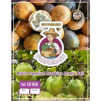 Bibit Premium Markisa Madu Bali | Biji Benih Markisa Bali