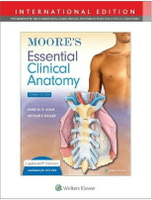 Moore's Essential Clinical Anatomy (IE) 7/e Agur 2024 LWW