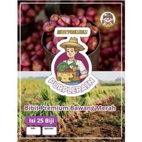 Bibit Premium Bawang Merah | Bibit Bawang