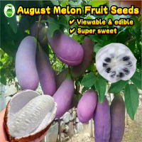 50 Seeds/pack Fresh August Melon Seeds for Sale August Melon Sweet August Melon Tree Seeds Bonsai Fr