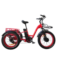 4 inch NEW motorized electric tricycle with EN15194/ cheap electric trike/ 3 wheel electric bike with pedals