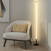 ins極簡立式燈LED簡約北歐風氛圍感落地燈客廳臥室床頭墻腳護眼燈
