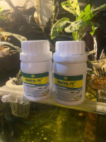 [***NEW ORDER LINK***] Khoáng Mineral PN+ Plus ( x4 vi sinh )