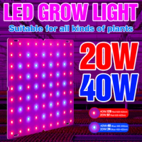 LED Grow Lights Full Spectrum Quantum Board Phytolamp For Plant Indoor Flower Seeds Hydroponics Greenhouse Tent Cultivation Lamp