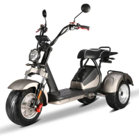 High Quality 3 Wheels Electric Tricycle 4000w Motor Powerful Lithium Battery 60v 20ah 30ah Three Wheel Electric Tricycle Scooter