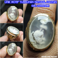 KELAS KOLEKTOR MOTIF TUMBUHAN LANGKA NATURAL PACITAN