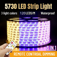 LEDแถบแสงสามสีกันน้ำ 220 โวลต์ 5730 120 LED / เมตรสามสีด้วยการควบคุมระยะไกลลดแสงอัลตร้าสดใสอ่อนแสงใน
