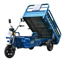 Chang li Super Bright Headlights Trike Open Body 3 Wheel Bike Pedicab Adult Cargo Electric Tricycles