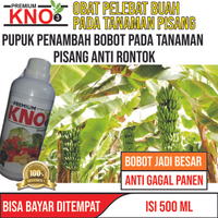 PREMIUM KNO3 pupuk pelebat buah pisang pupuk pelebat buah pupuk buah pisang pupuk pelepah pisang pup