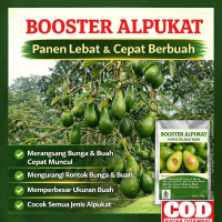 Booster Alpukat Panen Lebat & Cepat Berbuah Merangsang Bunga & Buah Cepat Muncul Mengurangi Rontok B