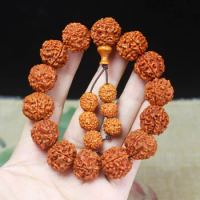 5 Mukhi Rudraksha Bodhi Beads Bracelet Nepal Jingang Pipal Tree Seed