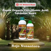 Pupuk Daun & Buah Sawit | Pupuk Booster Kelapa Sawit | Pupuk Organik Cair Humic Acid Tanaman Kelapa 