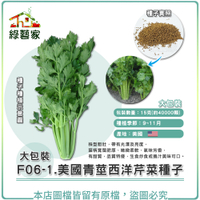 【綠藝家】大包裝F06-1.美國青莖西洋芹菜種子15克(約40000顆)