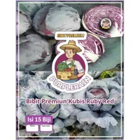 Bibit Premium Kubis Ruby Merah Perfection F1 | Benih Kubis Ruby Merah F1