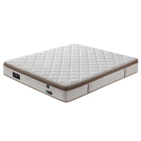 Hotel supplier luxury memory foam spring mattress king size queen size natural latex mattress
