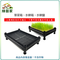 【綠藝家】A01芽菜箱、水耕箱、家庭式多用途芽菜培育箱