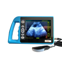 Beiteshuang B-mode ultrasound instrument for cow cattle sheep horse rapid test veterinary instrument veterinary ultrasound