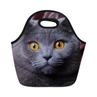Lunch Bag Cooler Picnic Bag for Women Thermal Lunchbox Tote 3D Cat Kitty Prints Thermal Food Sac Neoprene Women Totebag