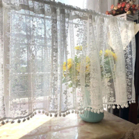 Exquisite Curtains Limited Time Sale Short Curtains Sheer Curtains Mesh Dustproof Mosquito-Proof Doo