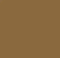 CAT TEMBOK NIPPON PAINT QLUC GOLD Q-LUC GOLD - 4,5 KG N 1849D PECAN SMELL