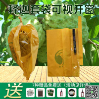 釋迦果套袋專用袋蓮霧袋水果套袋側開可視金煌芒果套袋火龍果套袋-UM.有米家居