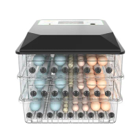 Small Household Transparent Chicken Egg Incubator Automatic Incubator Egg Hatching Machine