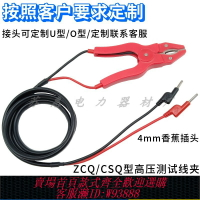 {台灣公司貨 可打統編}30A/50A純銅測試鉗鱷魚夾線高壓ZCQ/CSQ直流電阻回路測試儀連接線