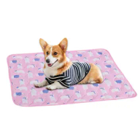 Pet Cooling Mat Dog Cooling Bed Small Dog Soft Cooling Pad Pet Paradise Mesh Cloth Waterproof Dogs Cooling Mat Pet mat Products