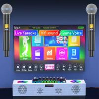 Live sound card device portable home wireless karaoke sound system with microphone, Bluetooth speaker, high volume voice convert