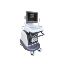 Good Price Hospital Diagnostic Equipment Laptop Escaner Ultrasonido Medical Portable B Ultrasound Machine