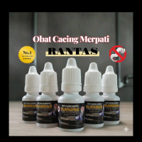 OBAT CACING MERPATI \RANTAS\" HABIS CACING MERPATI SAMPAI TELURNYA"